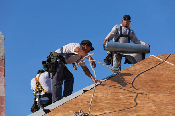 Best Gutter Installation and Roofing  in Bawcomville, LA